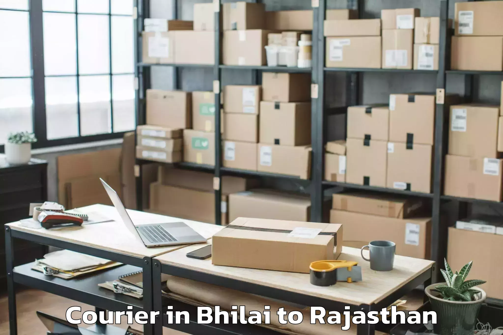 Reliable Bhilai to Kekri Courier